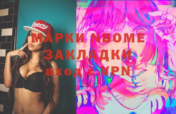 прущий лед Дмитриев