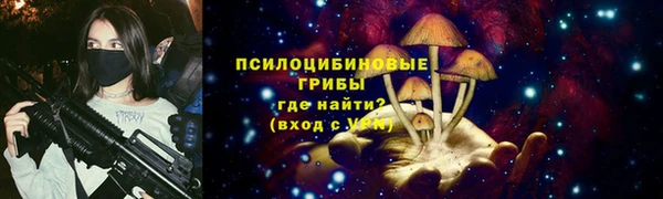 дмт Дмитровск