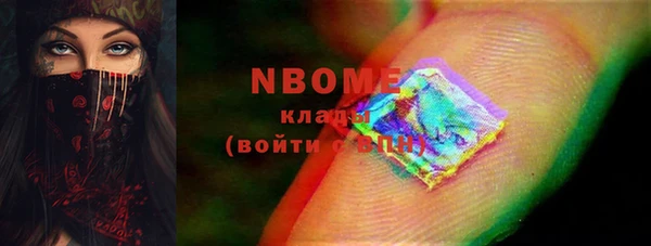 прущий лед Дмитриев
