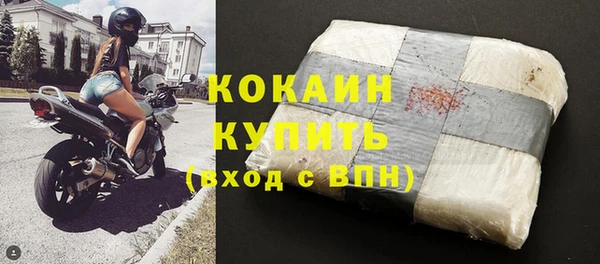 прущий лед Дмитриев