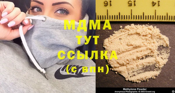 прущий лед Дмитриев