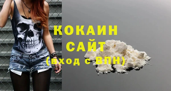 прущий лед Дмитриев